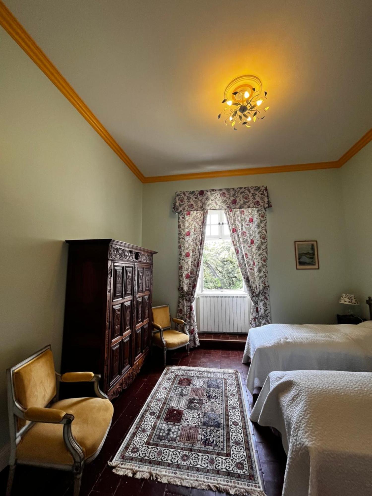 Chateau De Rousson エクステリア 写真